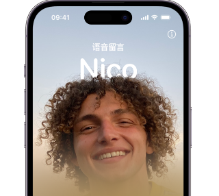 黑河苹果15服务站分享iPhone15实时语音留言开启方法 