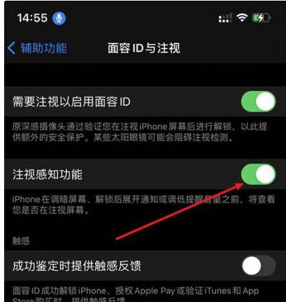 黑河苹果14维修网点分享iPhone14注视感知功能有什么用 