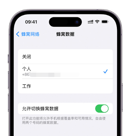 黑河苹果维修服务分享如何在iPhone上使用双卡 